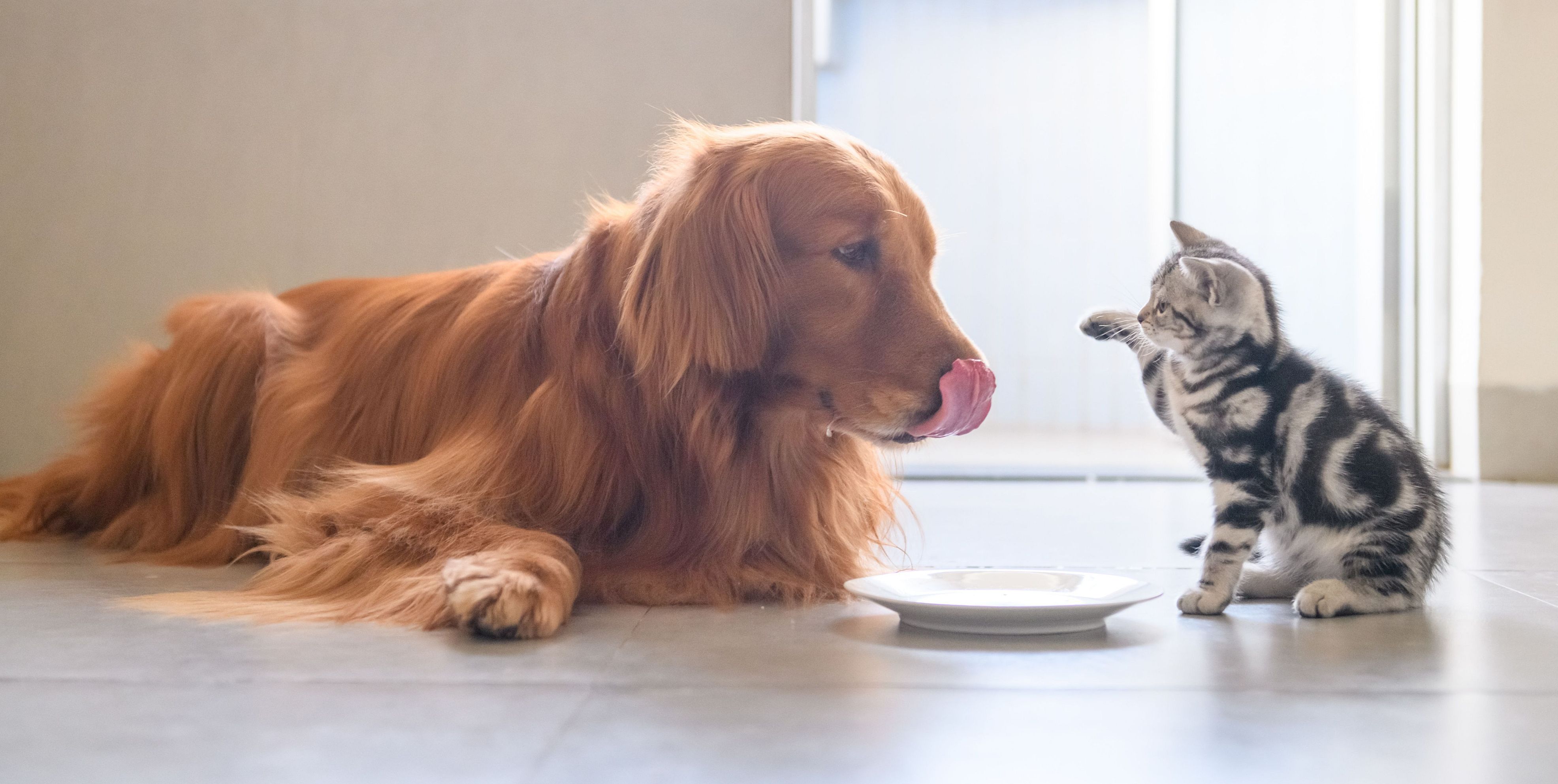 eminent-partner/adobestock_198206925_small