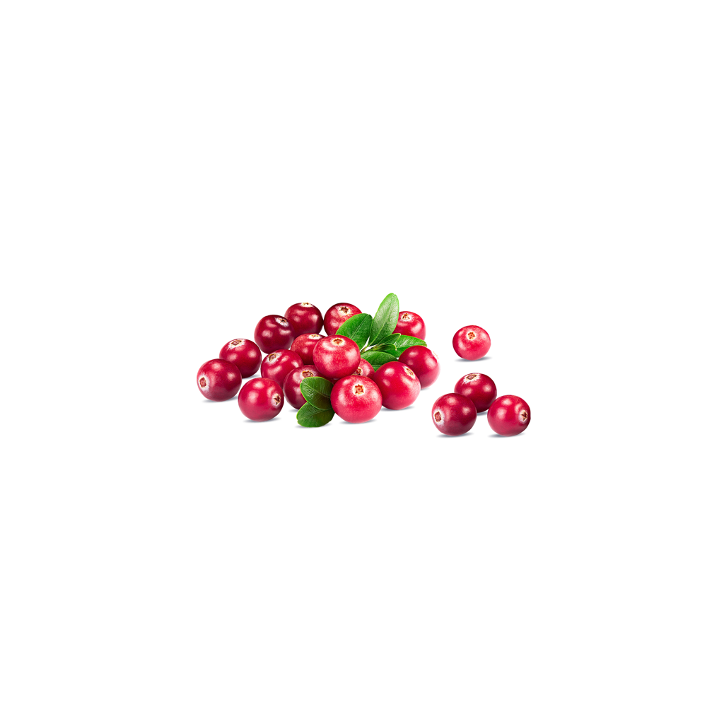ingredience-grafika/brusinky