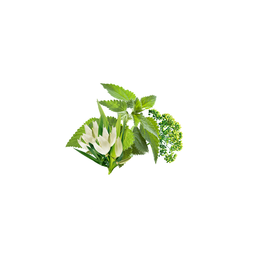 ingredience-grafika/herbal_complex