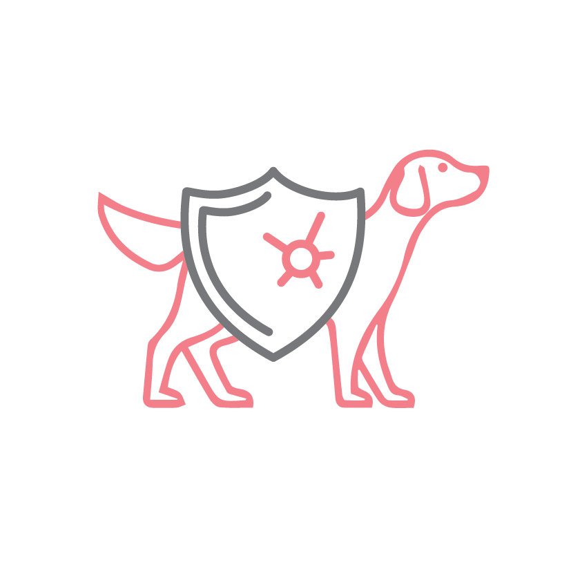 ingredience-grafika/ikony-high-premium/ikony_eminent-10