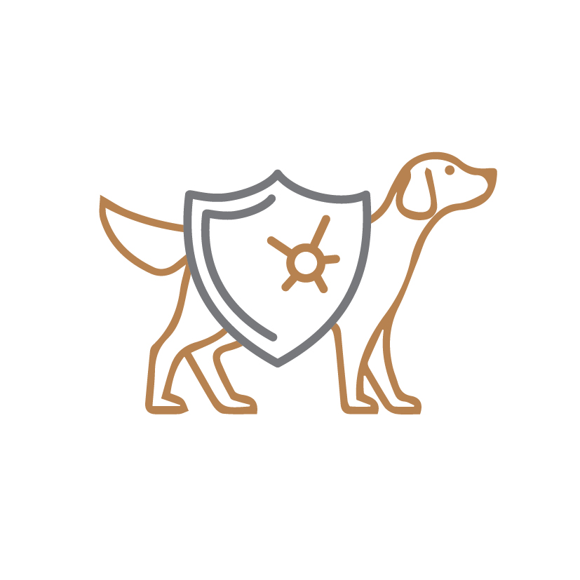 ingredience-grafika/ikony-high-premium/ikony_eminent-19