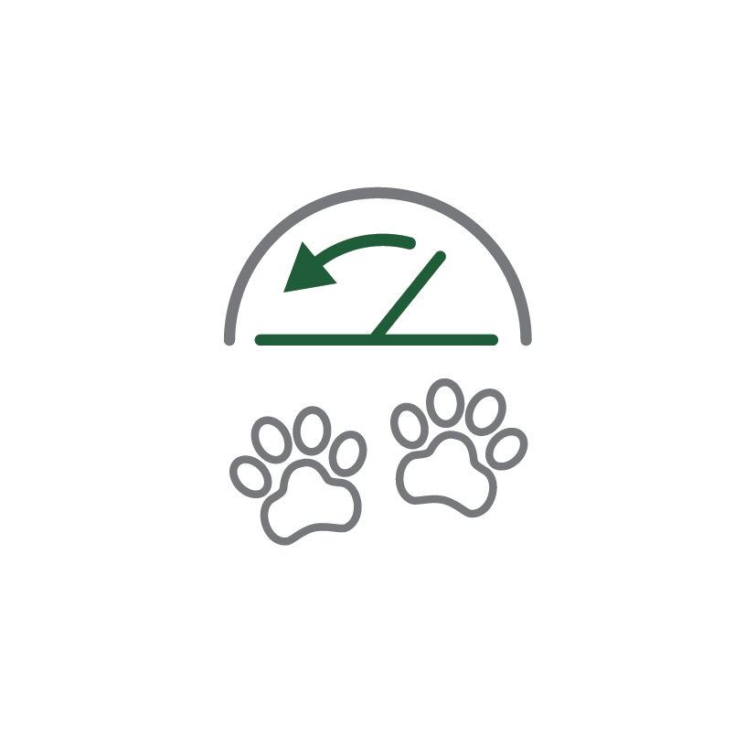 ingredience-grafika/ikony-high-premium/ikony_eminent-24