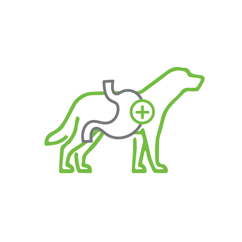 ingredience-grafika/ikony-high-premium/ikony_eminent-25