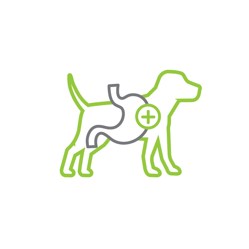 ingredience-grafika/ikony-high-premium/ikony_eminent-28