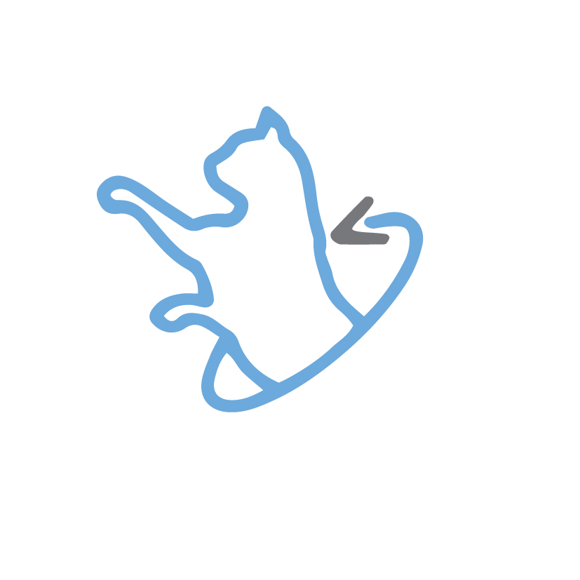 ingredience-grafika/ikony-high-premium/ikony_eminent-32