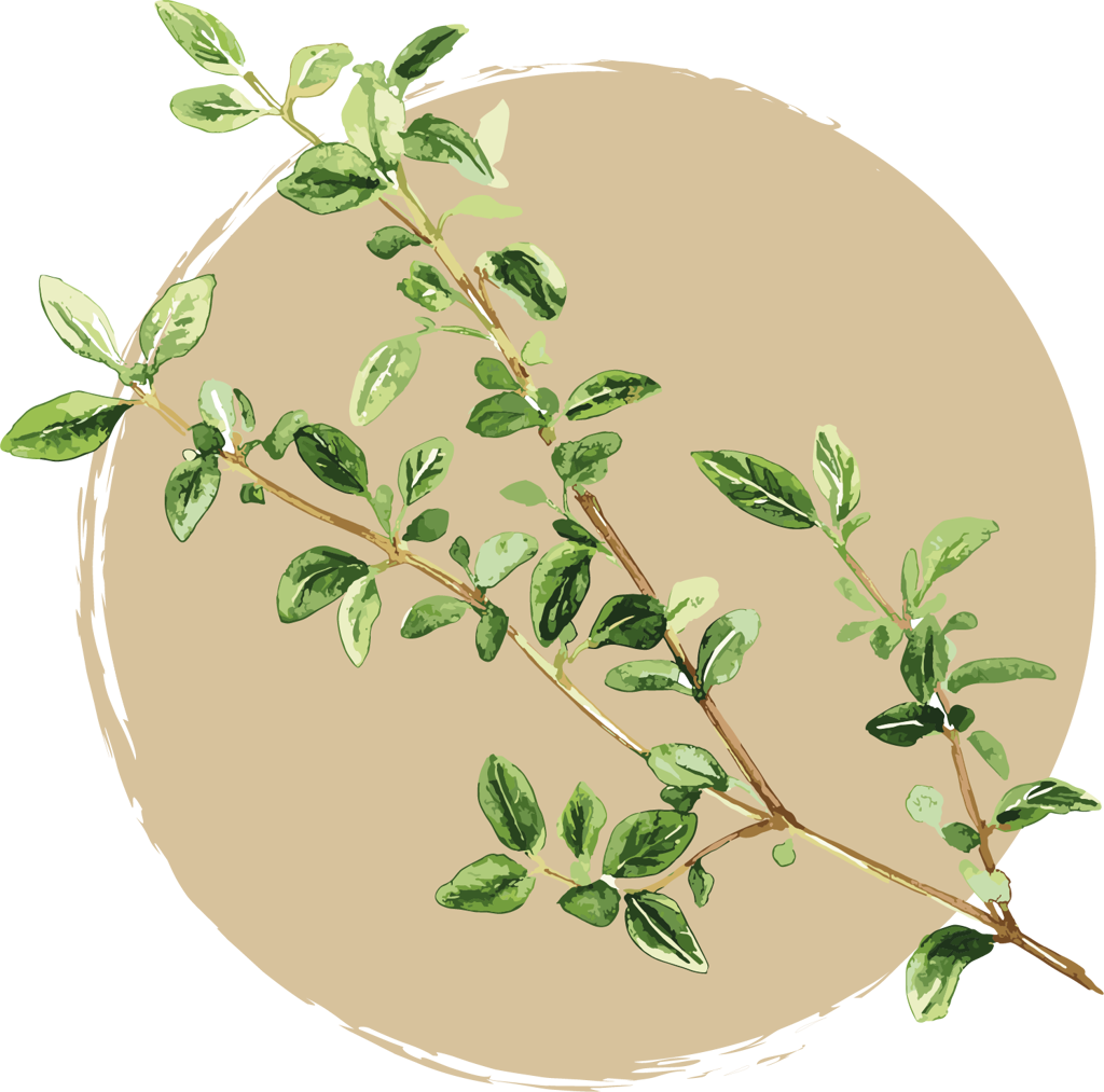 ingredience-grafika/ingrdience-selection-cat/thyme