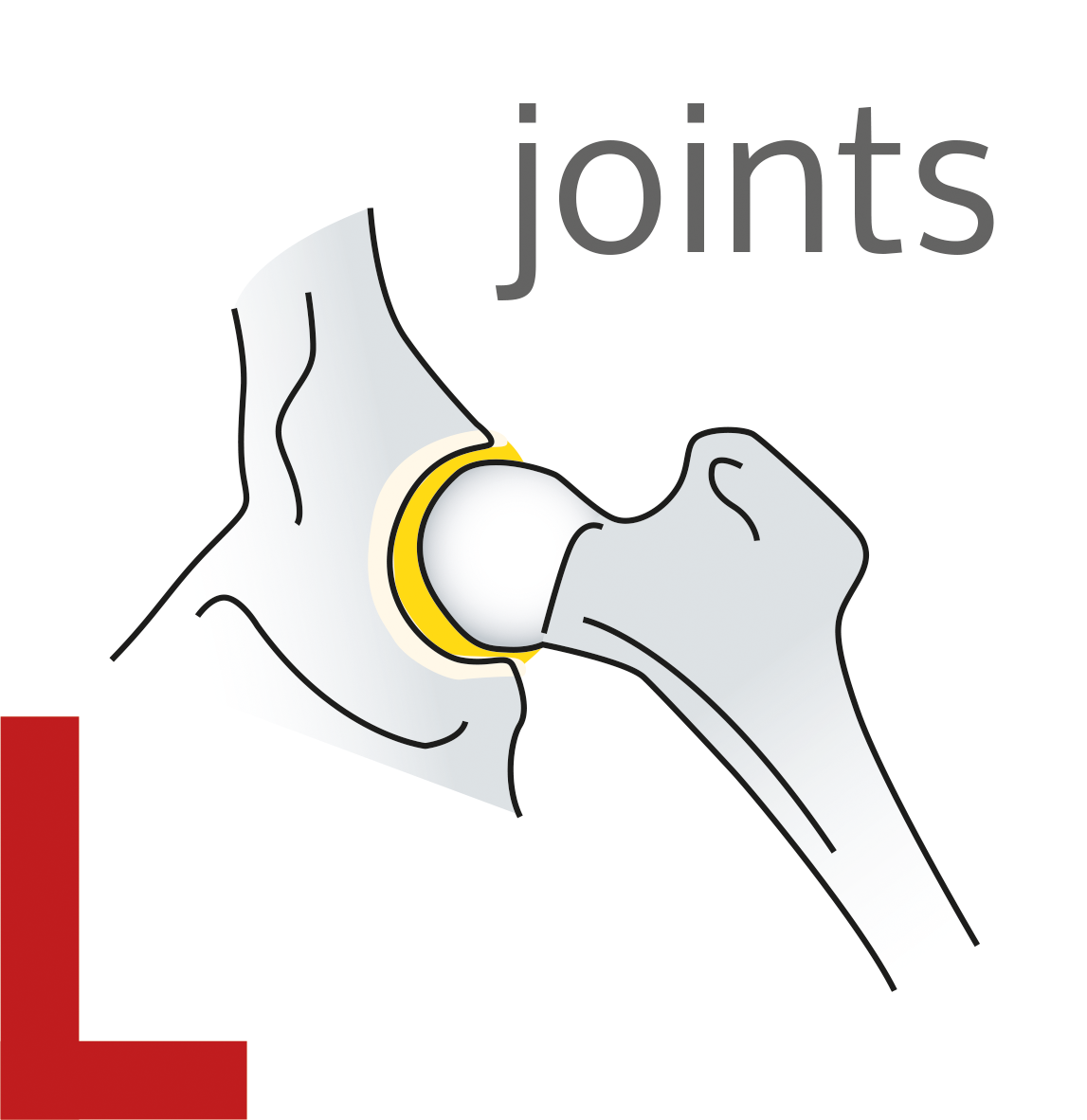 ingredience-grafika/ingredience-aport/ico-aport-premium-adult-joints