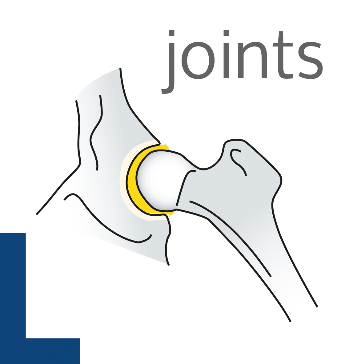 ingredience-grafika/ingredience-aport/ico-aport-premium-adult-lb-joints