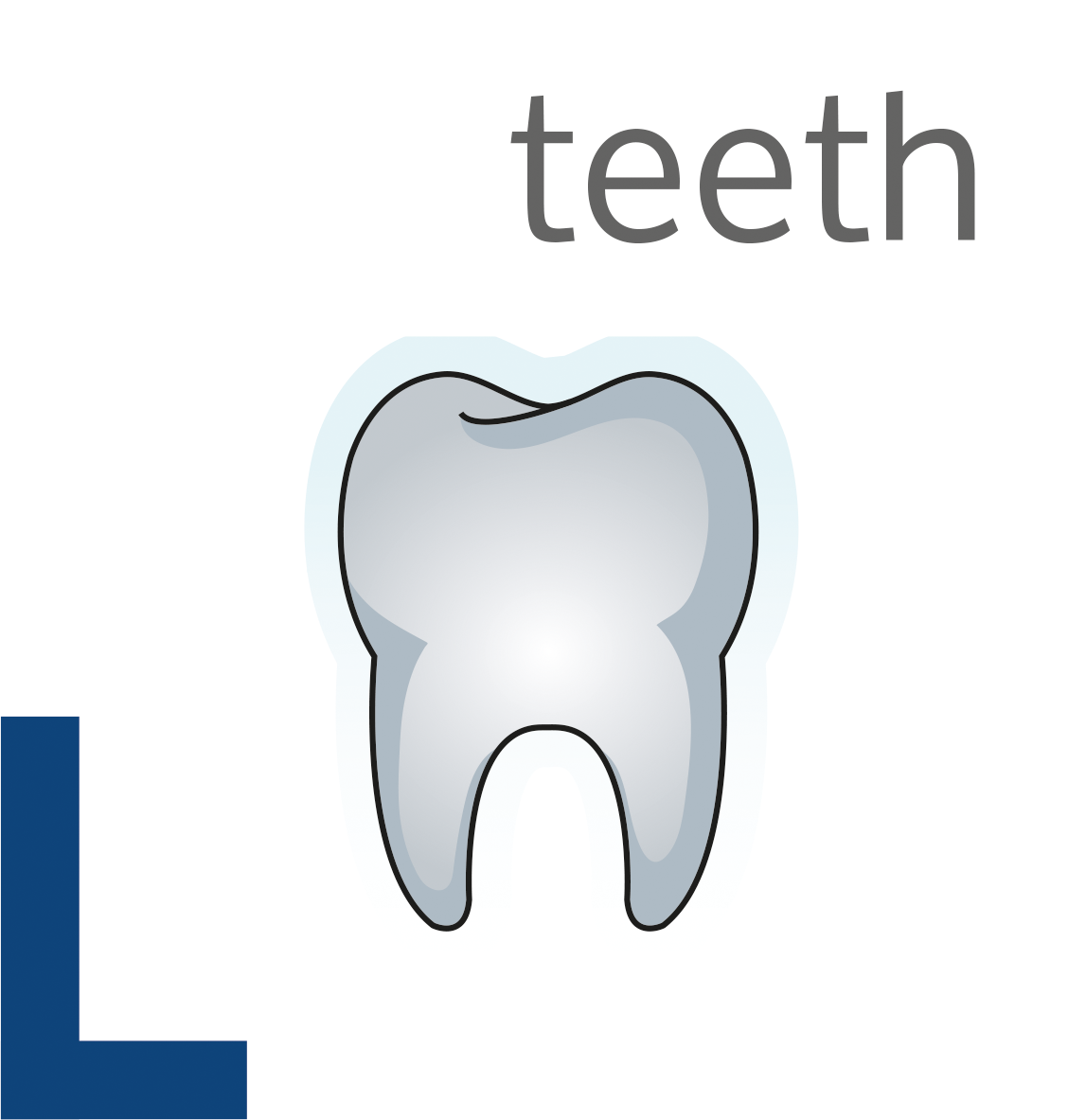 ingredience-grafika/ingredience-aport/ico-aport-premium-adult-lb-teeth