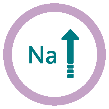 ingredience-grafika/ingredience-diety/icon_struvite_dog_diet_zvyseny-na_sm
