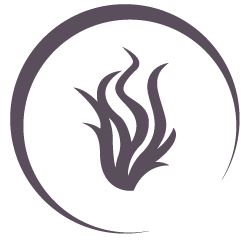 ingredience-grafika/ingredience-goldis/spirulina_immunity