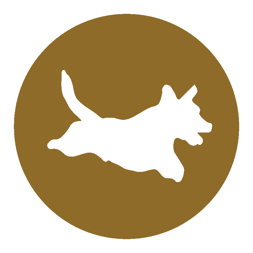 ingredience-grafika/ingredience-mini/ikona_chondoprotektiva_duck