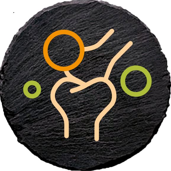 ingredience-grafika/ingredience-selection/chondroprotection