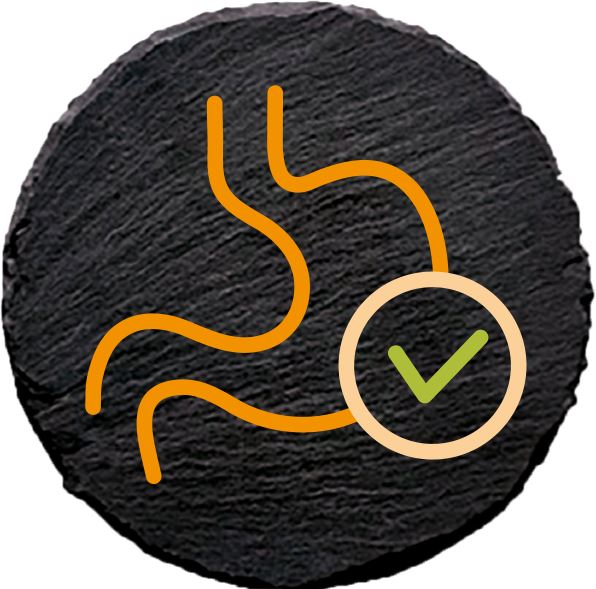 ingredience-grafika/ingredience-selection/high-digestibility