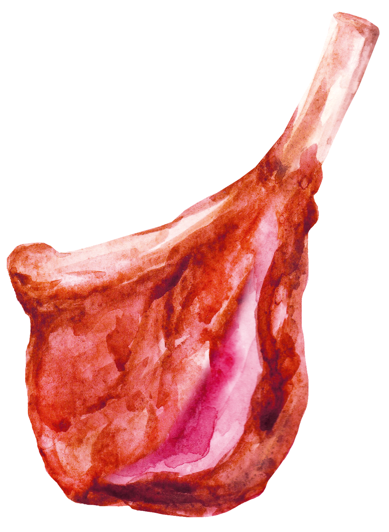 ingredience-grafika/ingredience-selection/jehneci