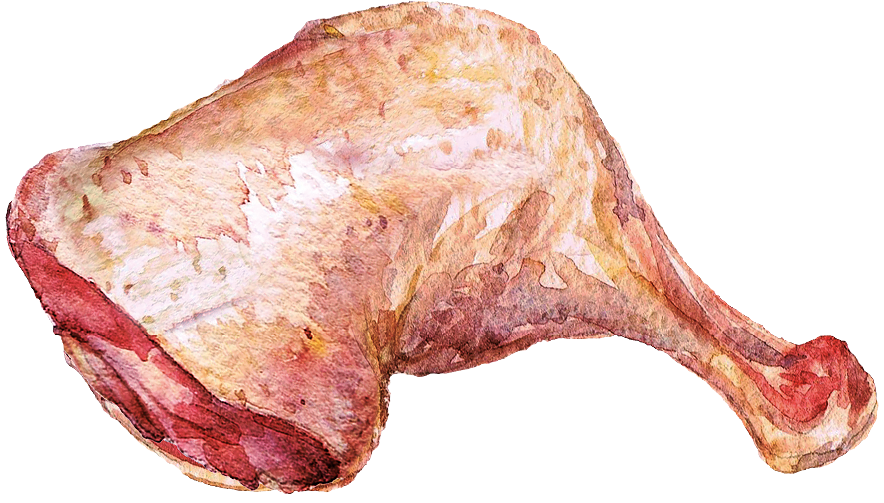 ingredience-grafika/ingredience-selection/kruti_stehno