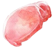 ingredience-grafika/ingredience-selection/pork