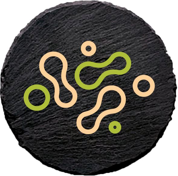 ingredience-grafika/ingredience-selection/prebiotics