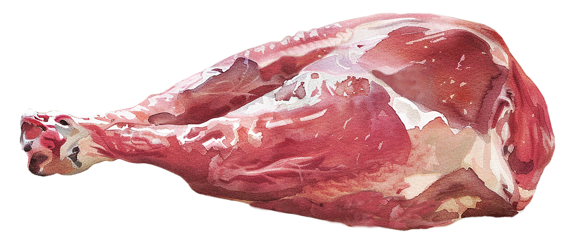 ingredience-grafika/ingredience-selection/raw_duck_thigh