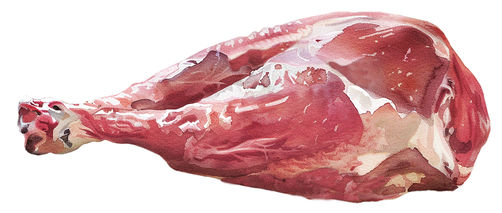 ingredience-grafika/ingredience-selection/raw_duck_thigh