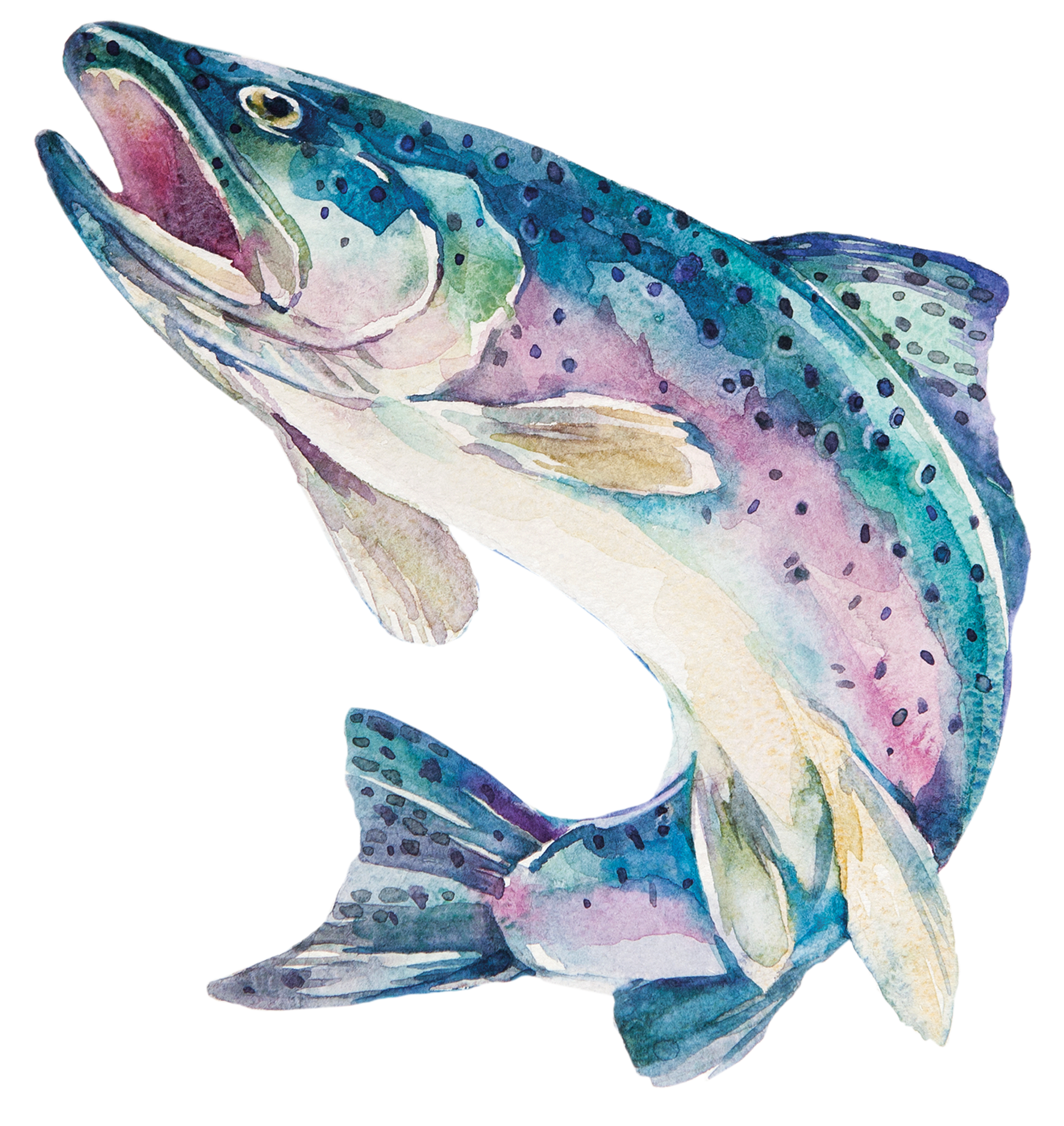 ingredience-grafika/ingredience-selection/ryba