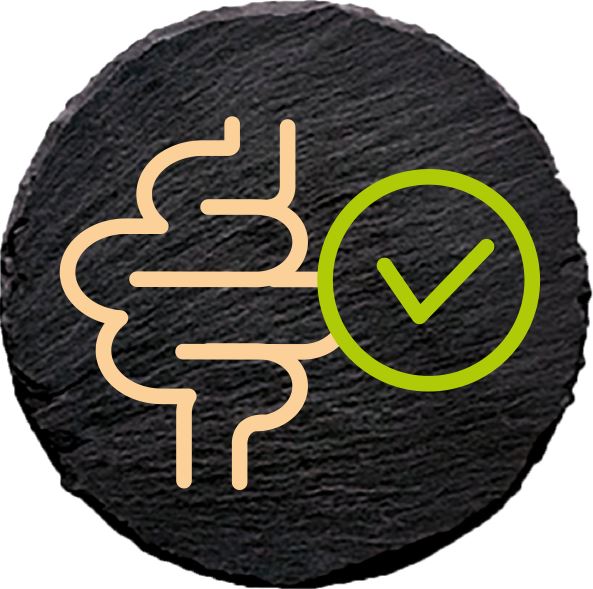 ingredience-grafika/ingredience-selection/smooth-digestion