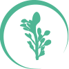 ingredience-grafika/ingredience-supplements/eminent_supl_icon__dental-care
