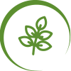 ingredience-grafika/ingredience-supplements/eminent_supl_icon__immunity-pro_1