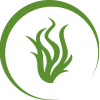 ingredience-grafika/ingredience-supplements/eminent_supl_icon__immunity-pro_2