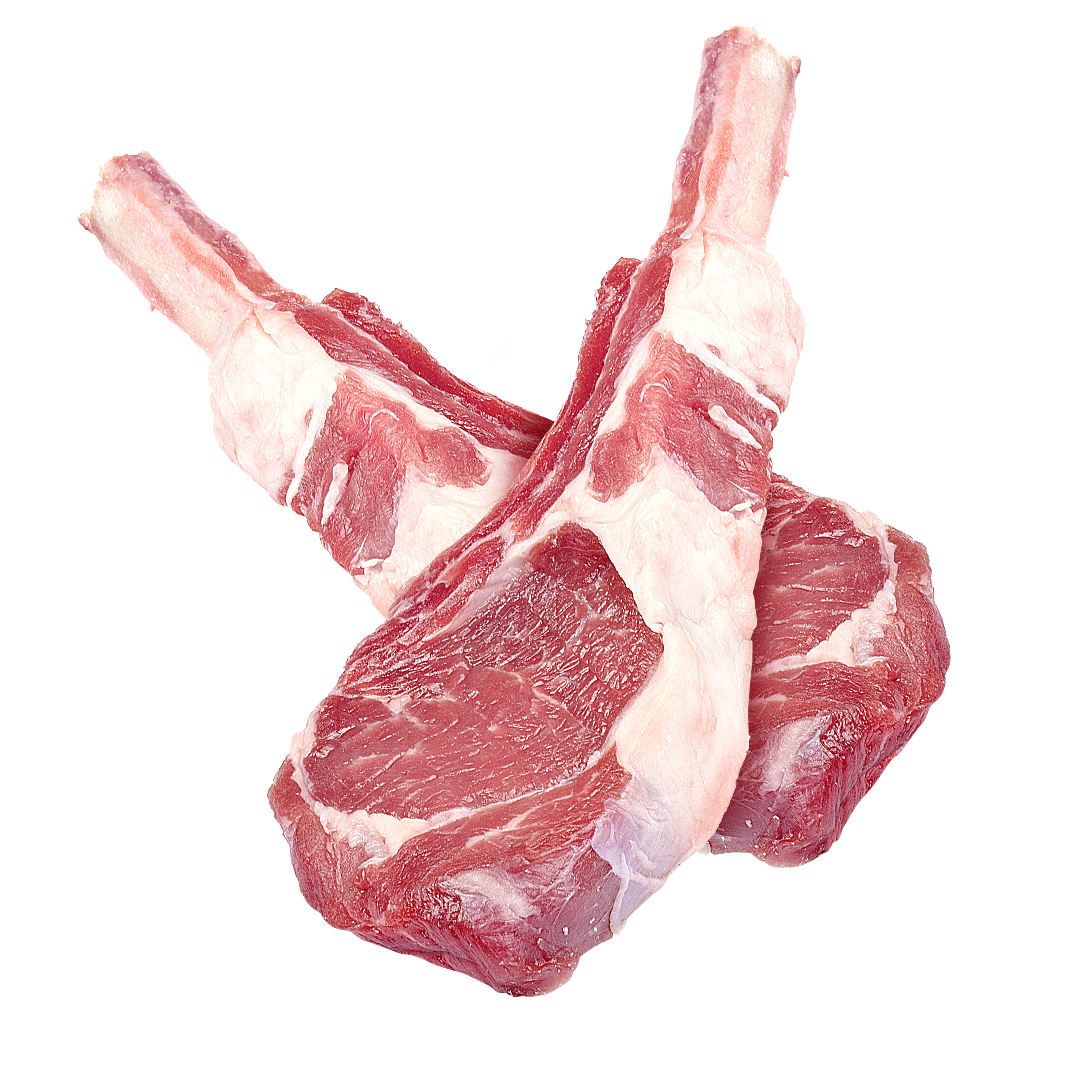 ingredience-grafika/jehneci