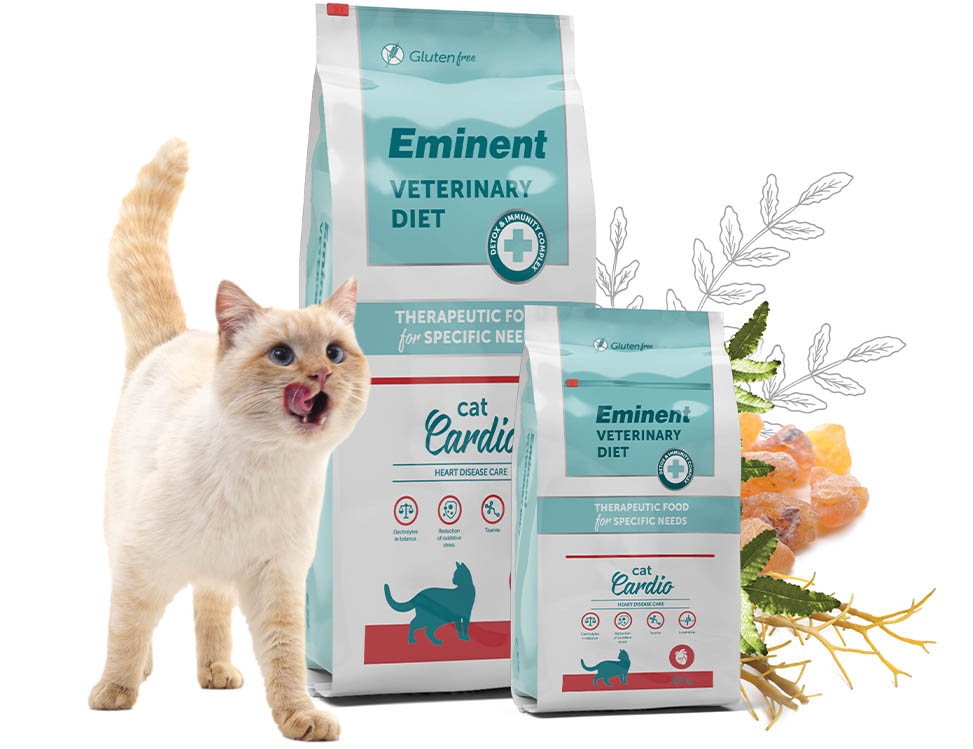 makety-pytle/diety-kocky/diet_cat_cardio_herbs