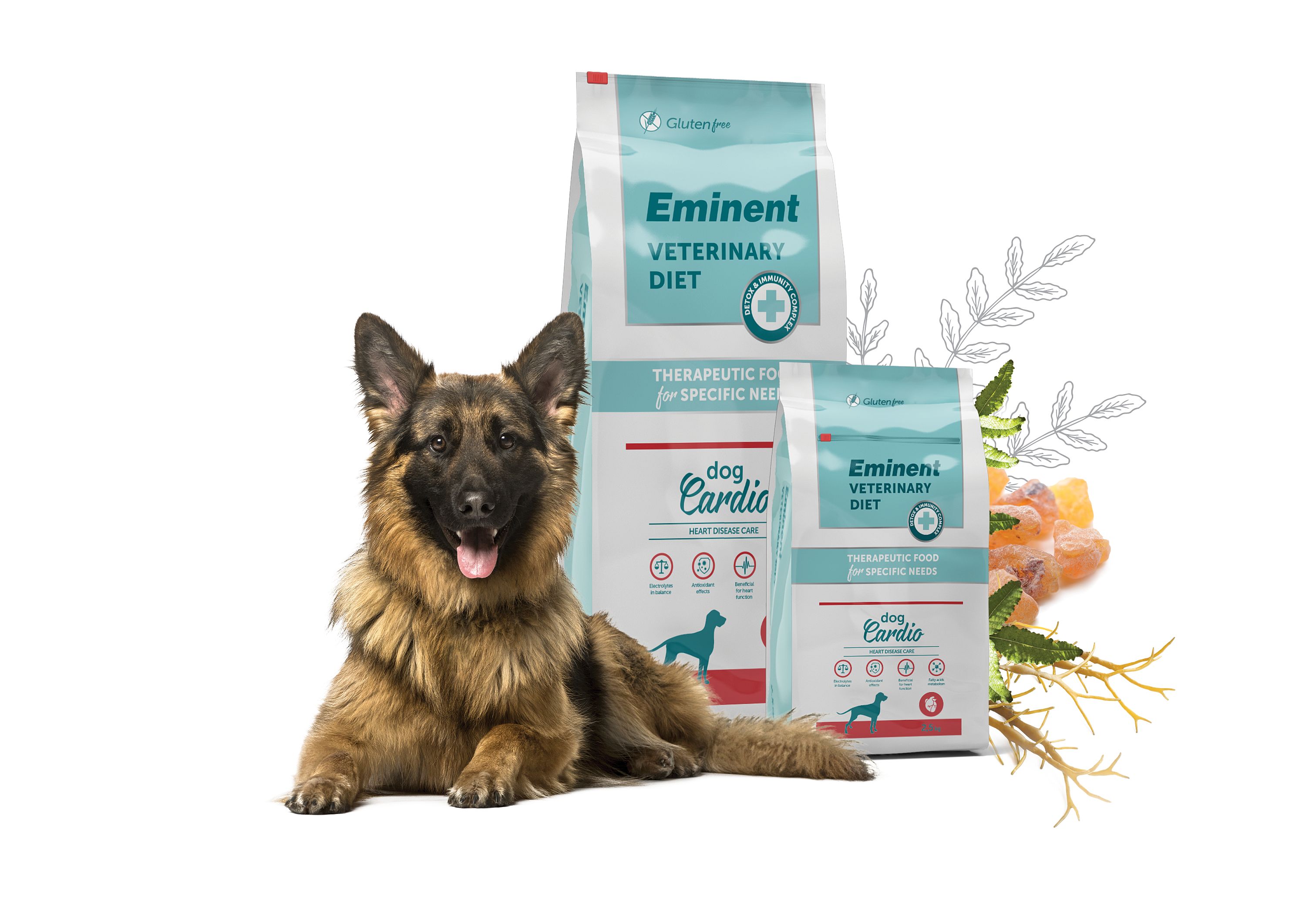 makety-pytle/diety-psi/diet_dog_cardio_herbs