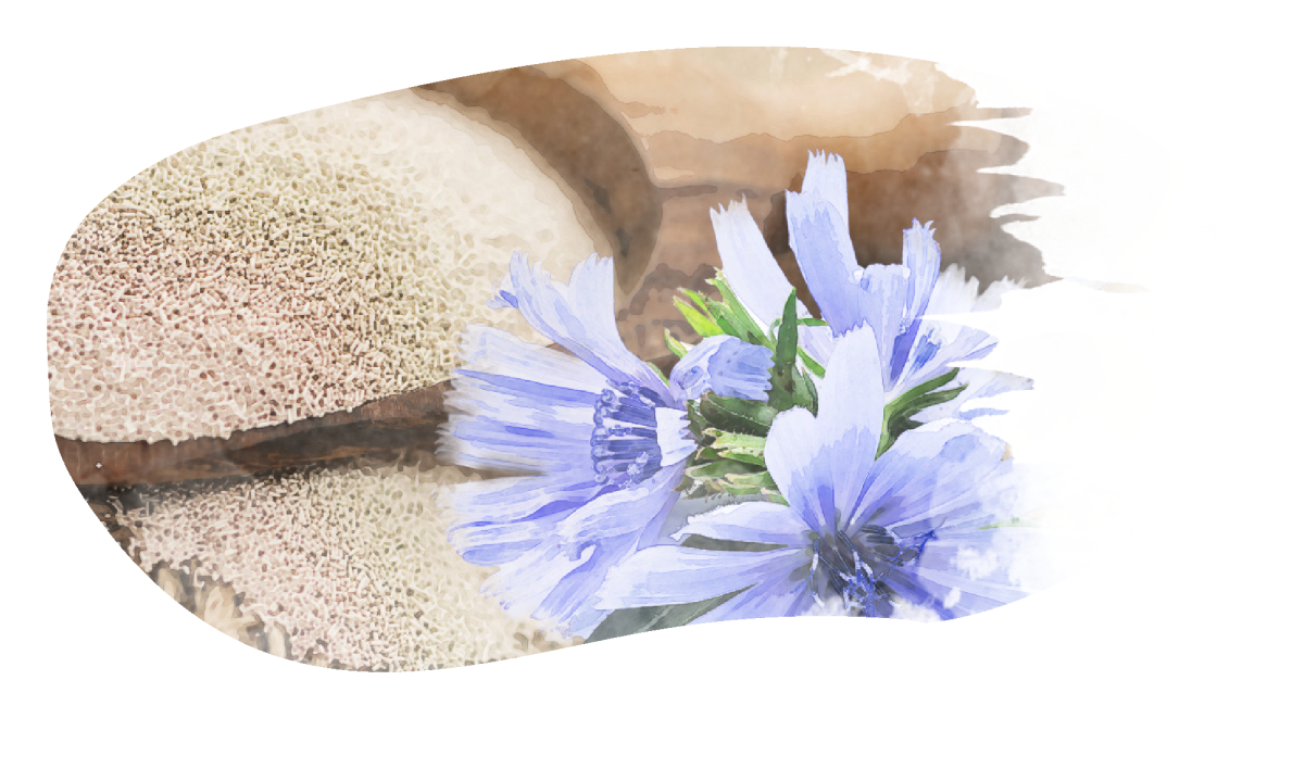 obecna-grafika/grafika-mini/cekanka_1